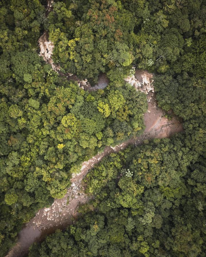 De Nuestra Selva al Mundo