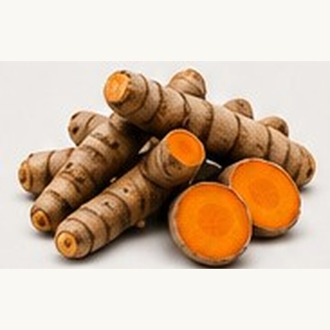 Cúrcuma orgánica peruana de exportación